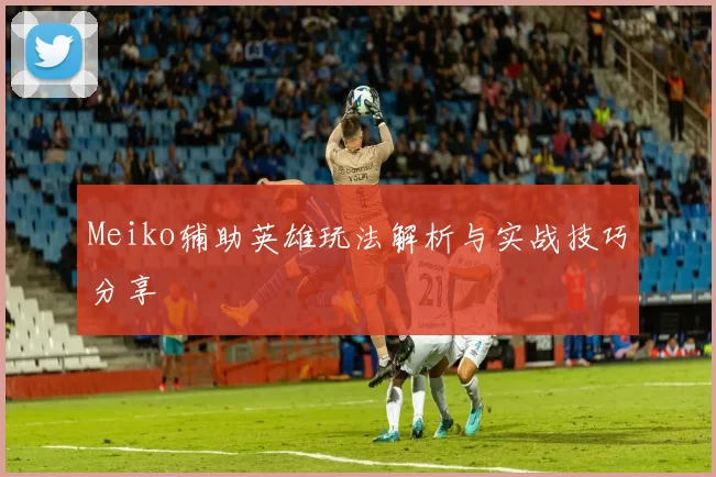 Meiko辅助英雄玩法解析与实战技巧分享