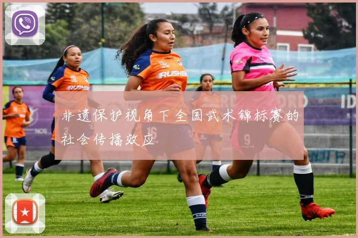非遗保护视角下全国武术锦标赛的社会传播效应