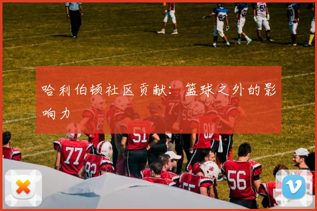 哈利伯顿社区贡献：篮球之外的影响力