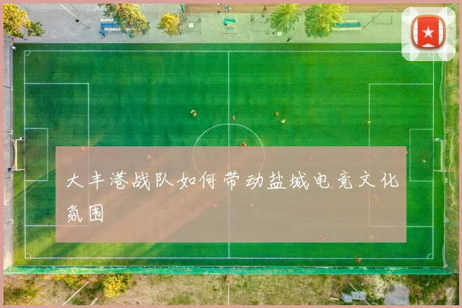 大丰港战队如何带动盐城电竞文化氛围