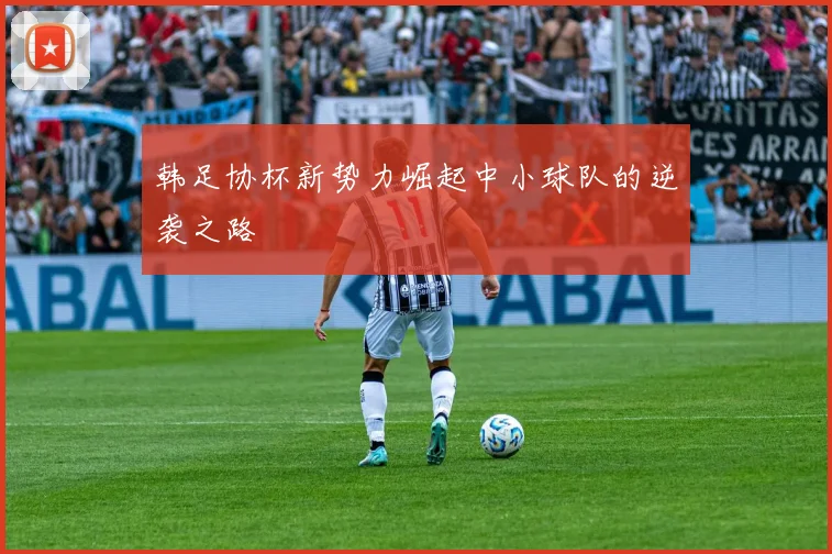 韩足协杯新势力崛起中小球队的逆袭之路
