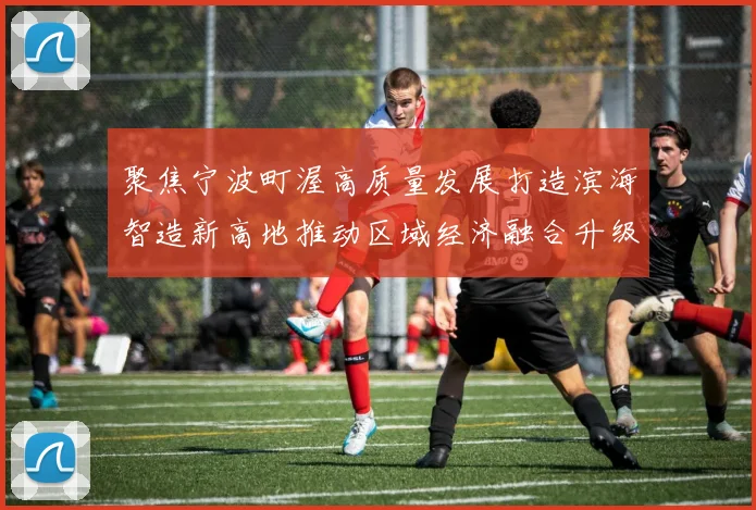 聚焦宁波町渥高质量发展打造滨海智造新高地推动区域经济融合升级