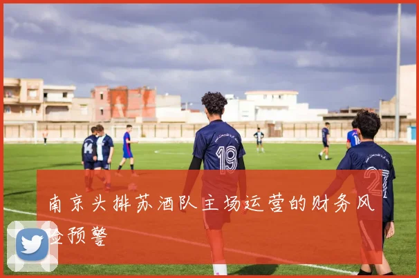 南京头排苏酒队主场运营的财务风险预警